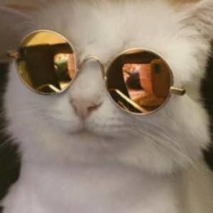 Meet your Posher, Keegan